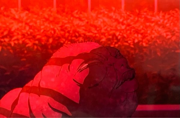 呪術廻戦4話最後のシーンこの呪霊はなんて言ってたんですか