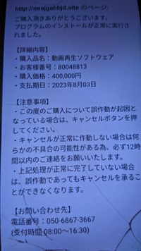 ご購入頂きありがとうございます。 - プログラムのインストールが正常