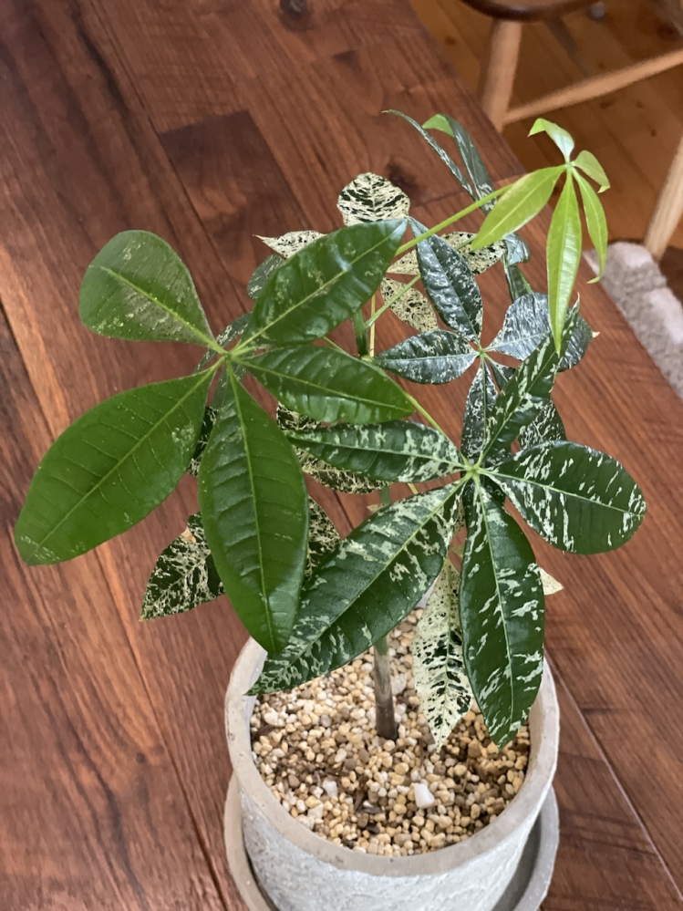 que-11284651601?w=999&h=999&up