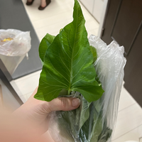 ご近所さんに庭に出来たこの葉っぱを食べてと頂いたのですがこれは 