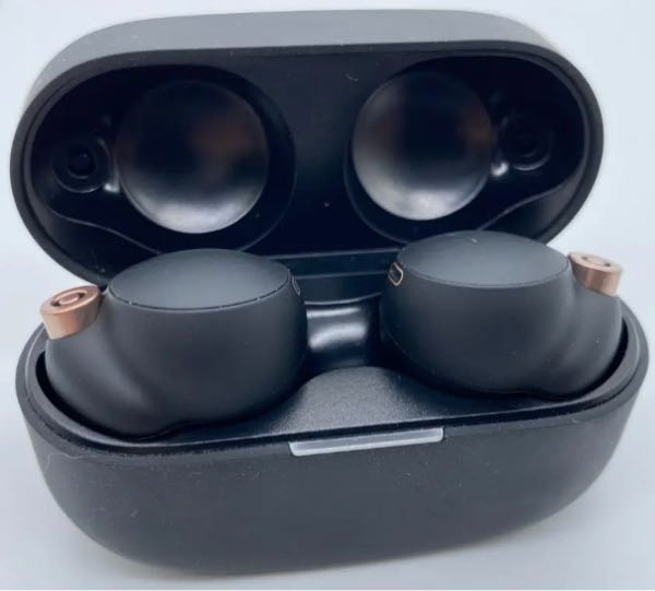5日前SONYのWF-1000XM5の右側のイヤホンを外でなくしました