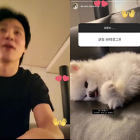 btsジミン熱愛の匂わせ？？Xで見ました…このインスス、本物です