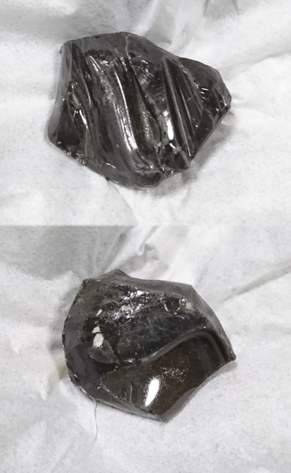 小学校一年生が拾った黒い小石 小学校一年生が拾った黒い小石