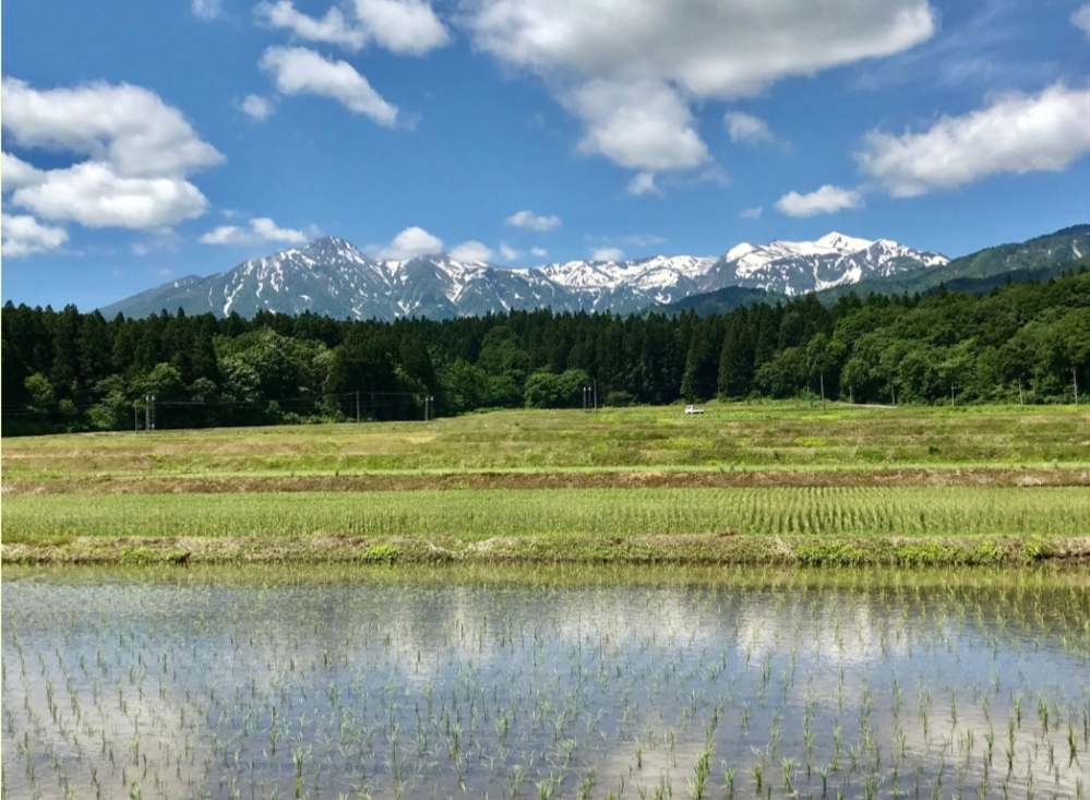 疑問に思っています。 左が妙高山で右が火打山なんですが、ほぼ標高同じなのになぜ火打山の方がこんなに白いんですか?