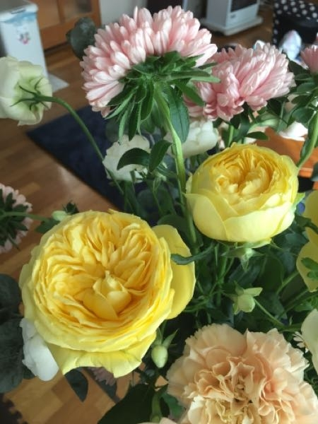 この薔薇の品種名が知りたいです。