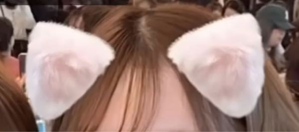インスタのエフェクトでこの写真の耳と白い線のヒゲがついてる猫のエフェクトはなんて名前でしょうか?エフェクト名が出ておらず特定できませんでした。 回答よろしくお願いします。