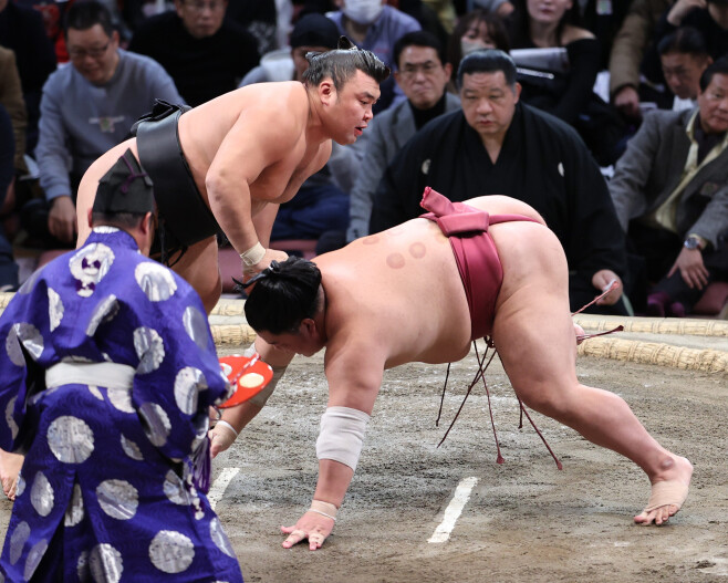 霧島がコレは相手の高速回転砲がちっとも痛くも痒くもなかったんでしょうかね？。 九州場所 13日目は大栄翔vs霧島 立ち合いから突き立てる大栄翔だったが霧島がそれを跳ね退ける様に押し上げて 最後は叩き込み 霧島が11勝2敗( 14日目は同じ星の相手と 直接対決) 大栄翔が8勝5敗( 秋場所の10勝5敗に続く 2桁を目指す 残り2日) この相撲は対戦成績がコレで大栄翔7-11霧島