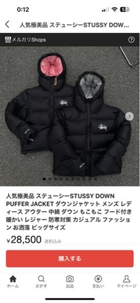 メルカリで売られているSTUSSYのダウンパーカーがとても安いのですが偽