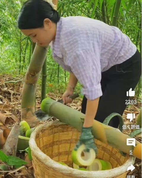 若い竹の使われ方 - 数メートルぐらいに育った竹は、筍としては食べられないのですが、写真の様に、節の上の比較的白い部分を収穫しています。 これは、何のためですか？ 何に使われるのでしょうか？ - この動画、見てると気持ちいい…