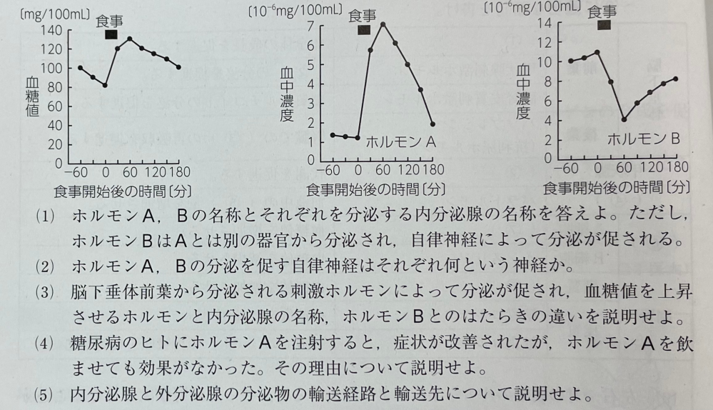 生物基礎 ⑴のBの答えは アドレナリン、副腎髄質です。 アドレナリンと糖質コルチコイドで迷いました。 糖質コルチコイドが当てはまらない理由を教えていただけませんか。