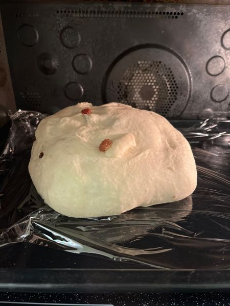 至急依頼！ホームベーカリー食パン作成中に電源落ちました。停電機能わからず、電源落としたので機械のリカバリー不能です。多分、一時発酵始まり膨らんでます。 自力で一時発酵やベンチタイムとか2次発酵とかよくわかりません。 もう一回ホームベーカリーの一から開始しても食パンできますか？ とりあえず今は電気オーブンに「発酵」40度40分で押して様子見てます。どなたか教えてください。お願いします。