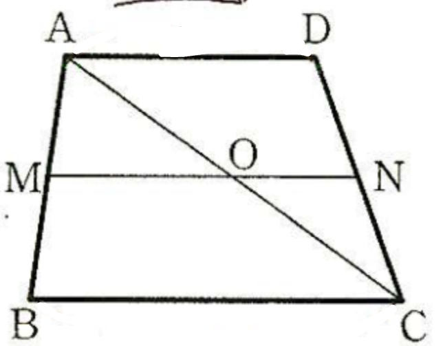中学3年の数学の問題です。答えは1：2になるそうなのですが、なぜそうなるのかがわからないので解説をお願いします。 問題 下の図で、M、NはそれぞれAB、DCの中点である。また、AD//BCである。このとき、三角形ABCで、AO:ACを求めなさい。