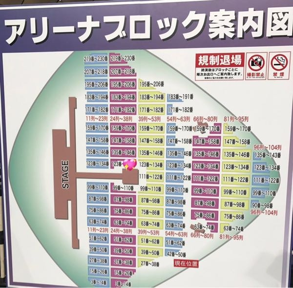 至急！東京ドームのアリーナ1〜3列目はどこら辺ですか？画像は11列めからしか書いていなくてわかりません