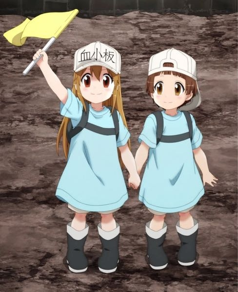 『はたらく細胞』のこの血小板キャラ、右は後ろ前ちゃんですよね。 左はなんて名前の血小板ですか？