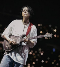 ユンギguitar pickJAPAN