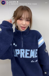 supremeの服についてです。このLESSERAFIMのチェ... - Yahoo!知恵袋