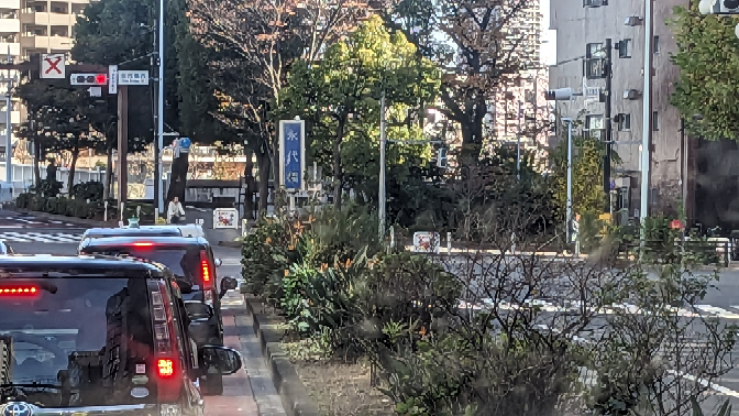 ストレリチア 極楽鳥花 園芸 東京都の永代橋交差点手前の中央分離帯の植栽にストレリチアが植えてあります。 本日投稿日１２月６日に確認しましたが花が咲いていました。 この時期でも咲くんでしょうか? 広い道路とはいえビルとビルの間ですから日当たりも悪そうですし、中央分離帯なので水はけも悪そうです。 結構丈夫な花なのでしょうか? 丈夫そうなら室内で育ててみたいです。 ※信号待ちで撮った為ほぼ見えないですが黄色い花です