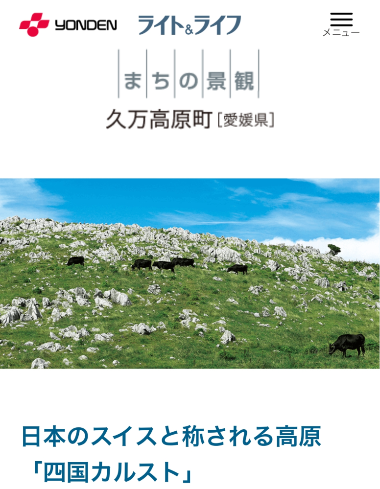 (地学・地理) カルストは化学的風化によってできる地形らしいのですが、この地表にある岩は、溶けずに残った石灰岩で、もともとは大きかった、といい意味の写真なのでしょうか。