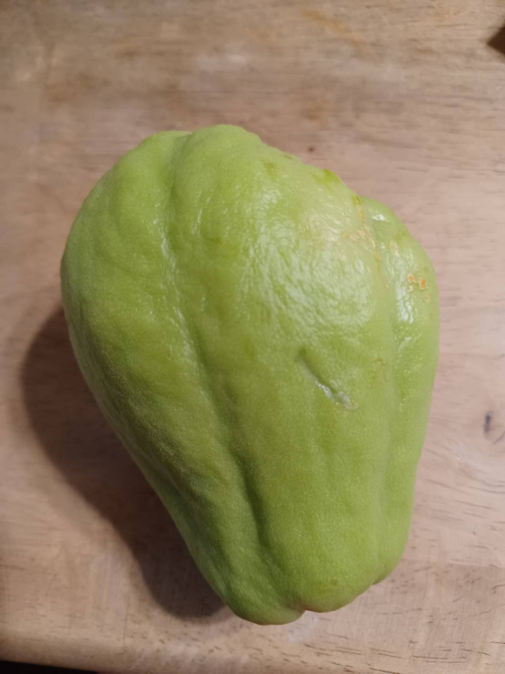 この野菜？果実？何ですか？カリンではないらしいです。漬け物や炒め物で食べるらしいです。
