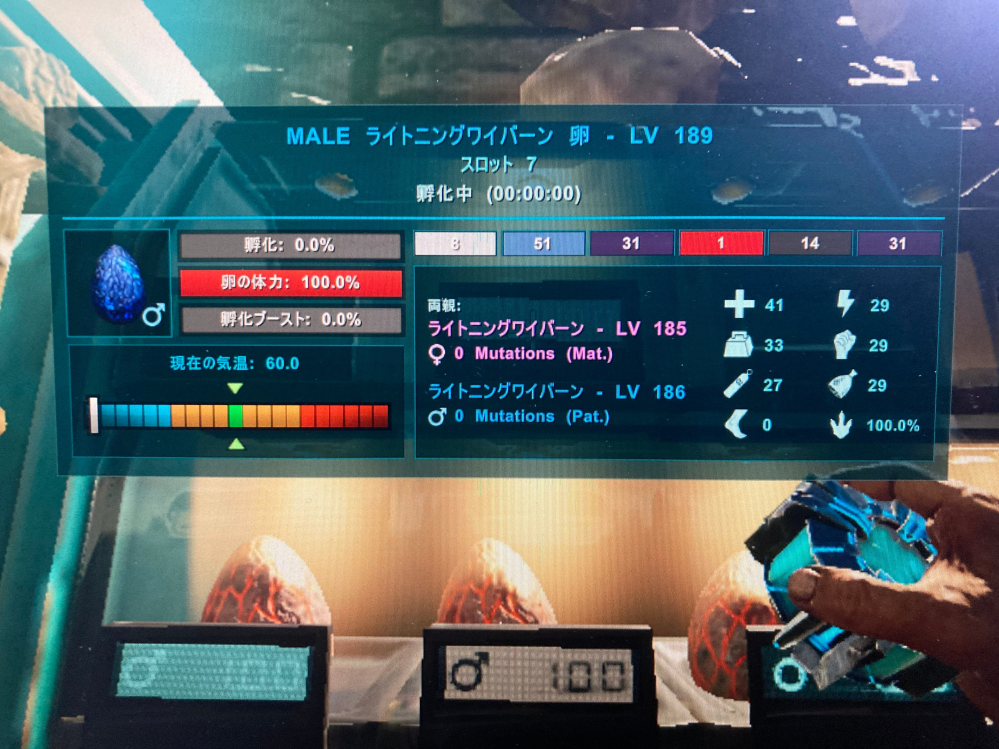 ARK: Survival Evolved ブリーディングにおける個体値についてです。 ライトニングワイバーンの高個体を狙っています。 産まれた子は父、母どちらかの個体値を引き継ぐ（突然変異を除く）という仕様は理解しましたが、個体値の最大値はいくつなのでしょうか？ 例えば画像のワイバーンですと体力の個体値が41ですが、42以上の個体は存在するのか、オール41で247レベルの卵を作ることは可能なのか、教えてください。