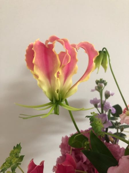 写真の真ん中のピンクと黄色の大きな花の名前を教えてください。
