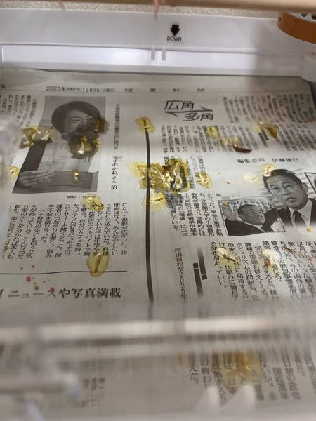 月曜日から文鳥を飼い始めました。生後1ヶ月半ぐらいの子です。 フンの周りが黄色くなっているのですが大丈夫でしょうか？餌はペレット(ズプリームのフルーツブレンド)を食べてくれてます。このペレットに色がついているのが影響しているのでしょうか？