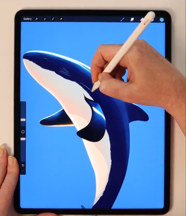 こちらのipadの機種(モデル名?)とサイズは何でしょうか…？ ご存知の方がおりましたら教えて頂けますと幸いです。よろしくお願いいたします。