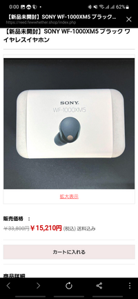 【※専用購入ページの為他の方は購入しないでください】WF-1000XM5 WF-1000XM5」で加入できるソニーストア限定 完全ワイヤレス向け