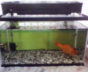 塩水浴の時の濾過装置について教えてください いろいろと調 Yahoo 知恵袋