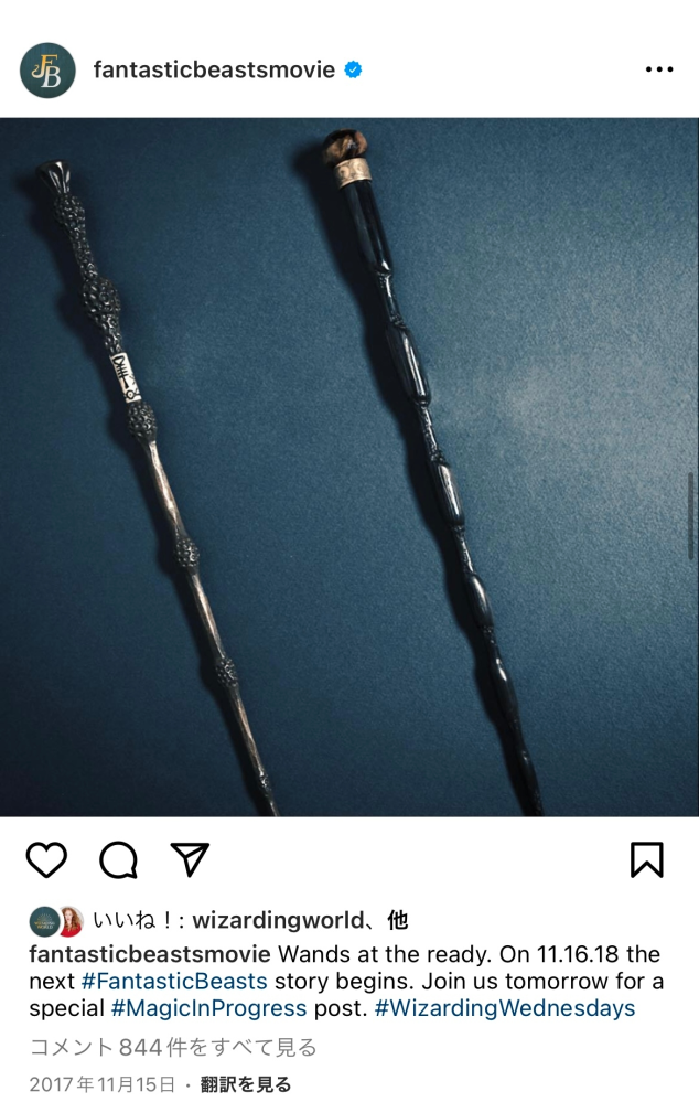 ファンタスティックビーストのインスタにあった、下記の写真のニワトコの杖の隣の杖は誰の杖なのでしょ