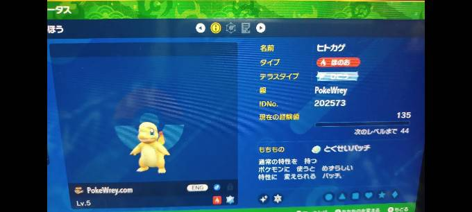 ポケモンSVマジカル交換で改造ぽいポケモンが来ました。個体値は6vでは