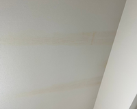分譲マンション一階に住んでます。
築４２年になります。
天井のこのようなシミの原因はなんだかわかる方いらっしゃいますか？？ 