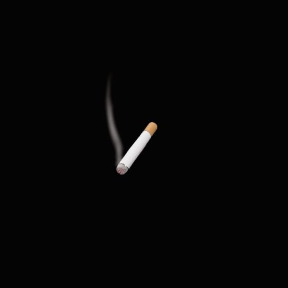 「喫煙 gif」の画像検索で出てくるこの画像を見てたら、なぜかタバコを吸いたくなくなりました。科学的に何か意味があるのでしょうか？