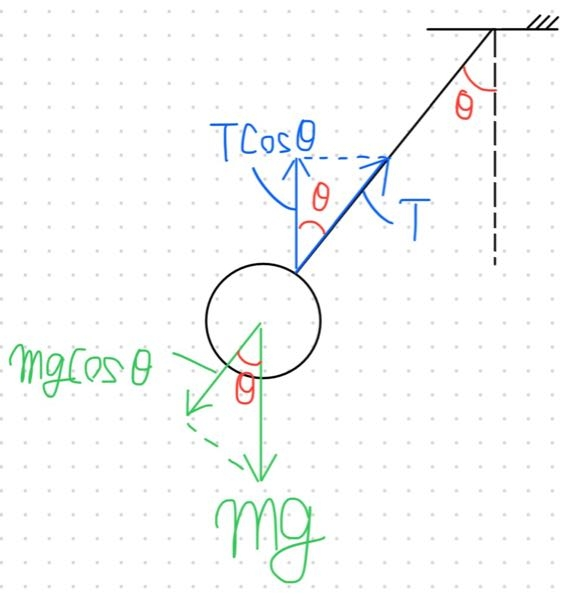 高校物理 物理 力学 力のつりあい 糸の張力Tを求めよ。 ①鉛直方向のつり合い Tcosθ=mg ∴T=mg/cosθ ②糸の方向のつり合い T=mgcosθ このように答えが変わってしまうのですか、どこが間違っているのでしょうか？