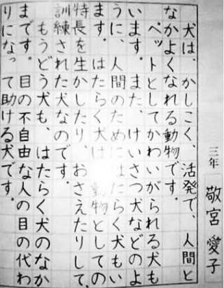 愛子さまの字ってめちゃくちゃ綺麗ですよね？小3でこんな字かける 