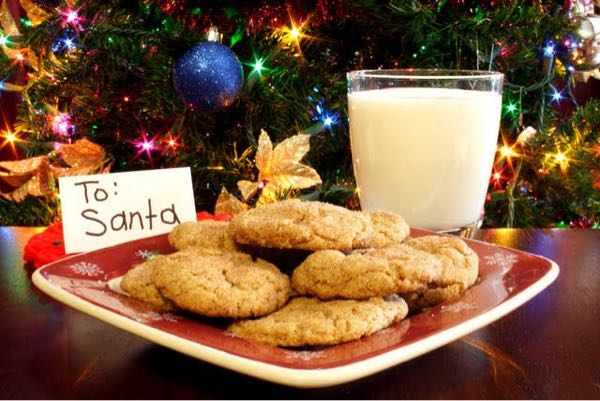 サンタクロースをもてなすには クッキーとミルクだけでいいんですか？