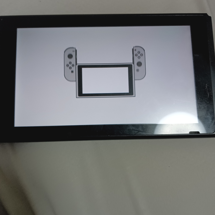 Switchのこの画面ってジョイコンなしで操作するのは無理です Switchのこの画面ってジョイコンなしで操作するのは無理です