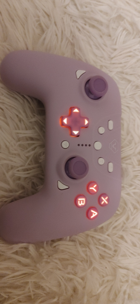 switchの非純正プロコンが接続されません。充電する際ランプはつく