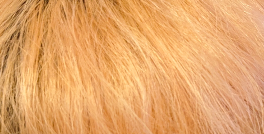 至急 この髪色からだと次はどんな色ができますか？