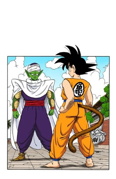 悟空 青年期 ドラゴンボールカード 孫悟空 青年期 SRパラレル