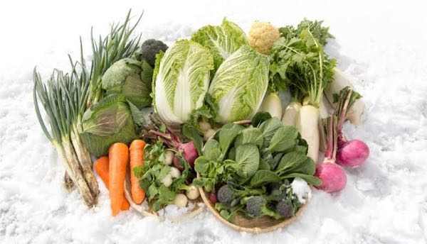 冬の野菜で一番美味しいと思うものは何ですか？