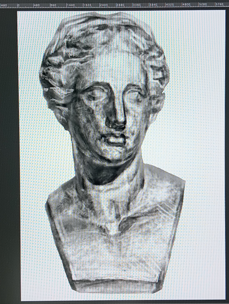 ミロのヴィーナス 胸像 石膏像 顔 美術 スケッチ インテリア 美大受験 ミロのヴィーナス 胸像 石膏像 顔 美術 スケッチ インテリア 美大受験