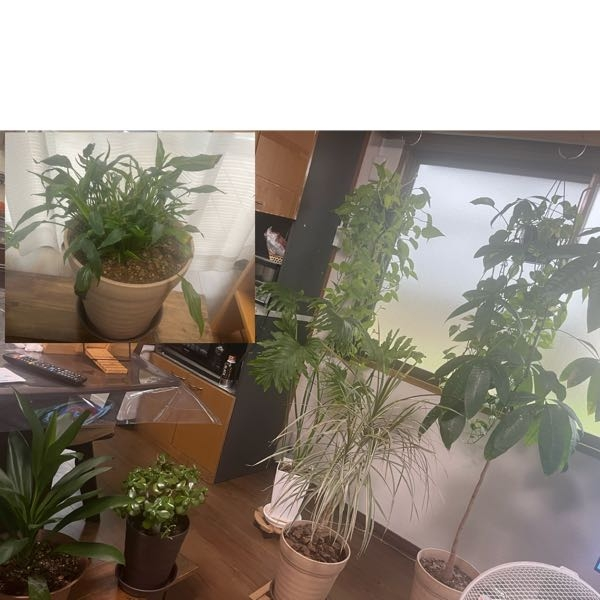 ヤフオクで初めて購入したのですが、取引メッセージで挨拶したほうが