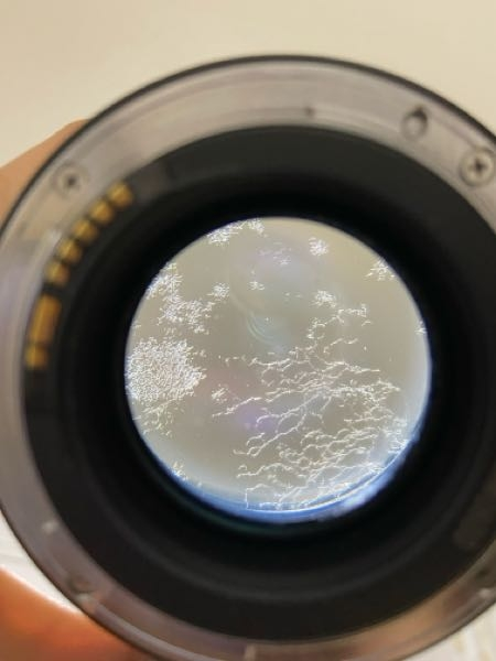 祖父の使っていたカメラのレンズに写真のようなモヤモヤがあります
