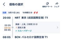 中国国際航空で東京からバルセロナに行きたいです。スルーバゲージなのでこの場合はイミグレを通過しなくていいからビザは要らないのでしょうか？ 