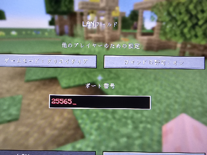 ポート番号25565で公開できないのですが、どうすれば良いです