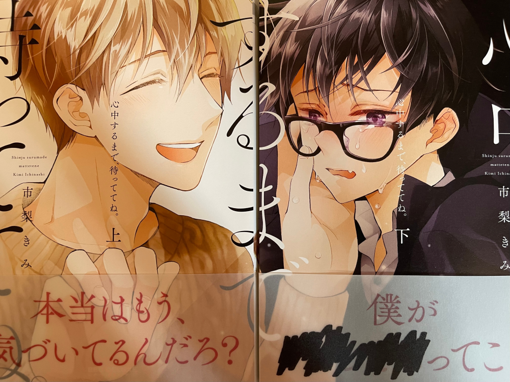 心中するまで待っててねの表紙って他の方からみたらBL漫画だって分かり 