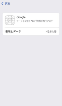 iPhoneのストレージにGoogleアプリとは別にアイコンがないGoogleとだけ表記されたデータがありましたこれはなんですか？ 