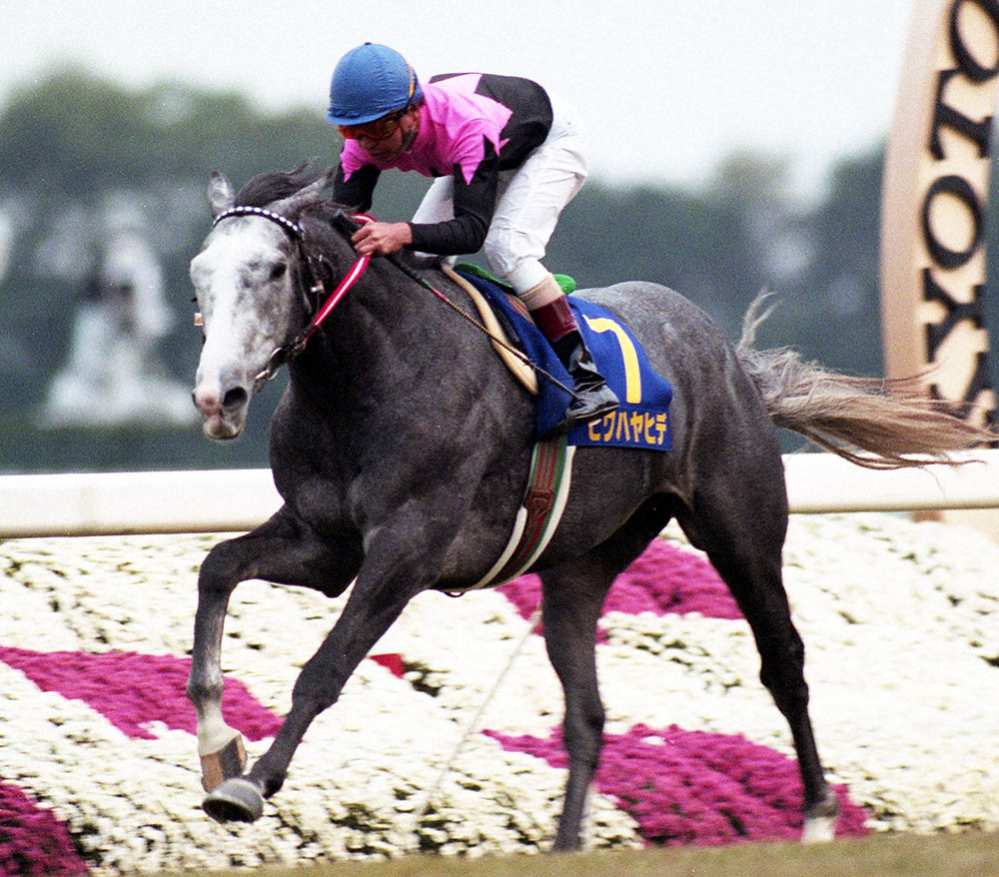 トウカイテイオーが一年ぶりの有馬記念で全盛期のビワハヤヒデに勝った