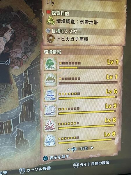 モンハンアイスボーンについての質問です導きのち117477目指